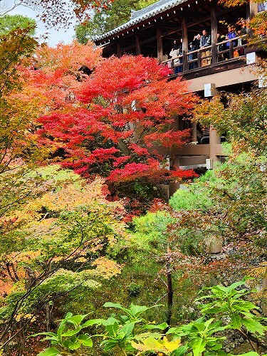 20251126_112708.jpg (148263 �o�C�g)