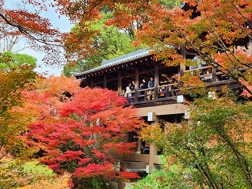 20251126_112713.jpg (157586 �o�C�g)