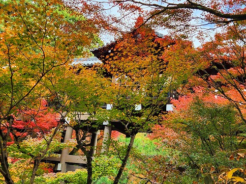 20251126_112737.jpg (163971 バイト)