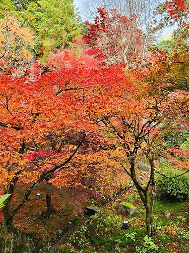 20251126_112755.jpg (147078 バイト)