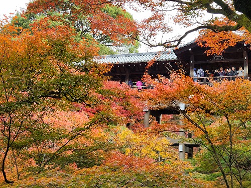 20251126_112800_001.jpg (148899 バイト)