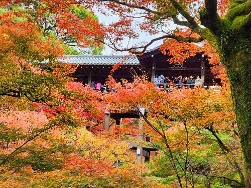 20251126_112802.jpg (158740 �o�C�g)