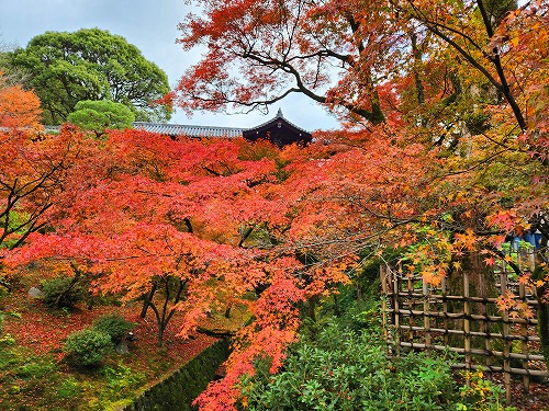 20251126_112931.jpg (148598 バイト)