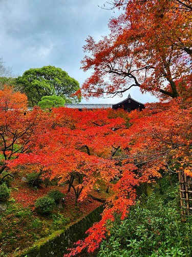 20251126_112939.jpg (126816 バイト)