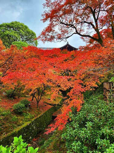 20251126_112948.jpg (137510 バイト)