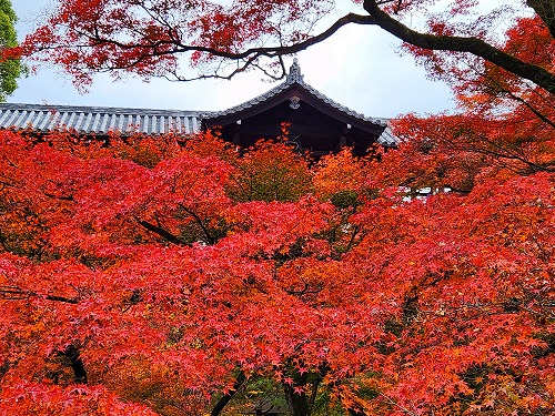 20251126_112958.jpg (149150 バイト)