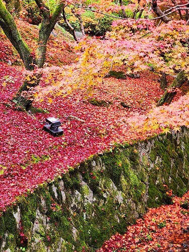 20251126_113237.jpg (159172 �o�C�g)