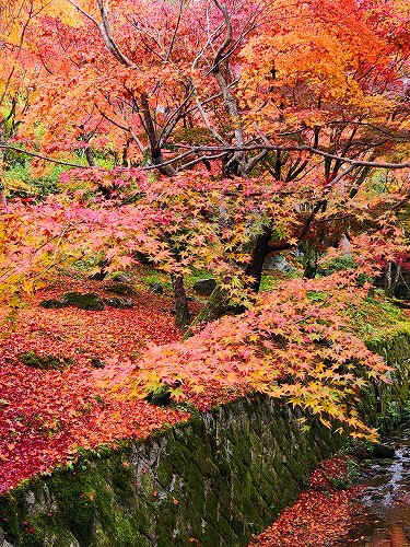 20251126_113244_001.jpg (151306 バイト)