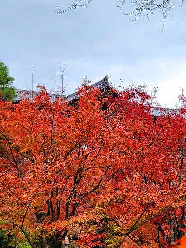 20251126_113607.jpg (110200 バイト)