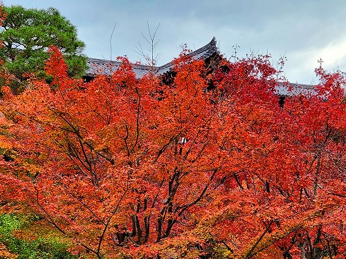 20251126_113619.jpg (139484 バイト)