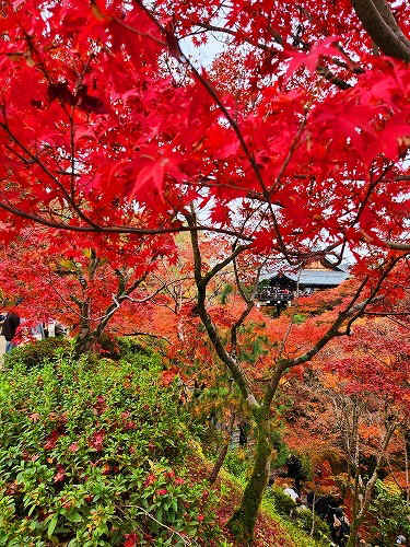 20251126_113957.jpg (144805 バイト)