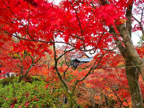 20251126_114001_001.jpg (144403 �o�C�g)