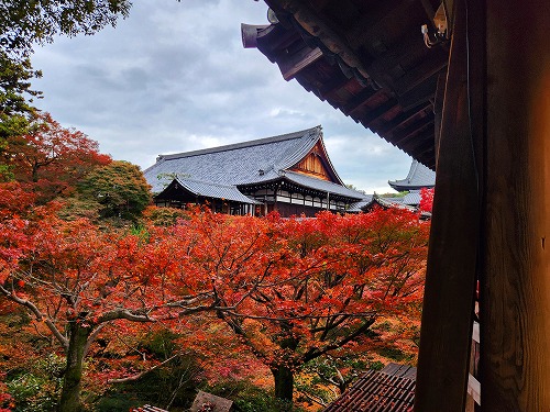 20251126_114541.jpg (100559 バイト)