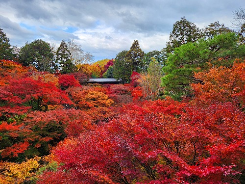 20251126_114734.jpg (119194 �o�C�g)