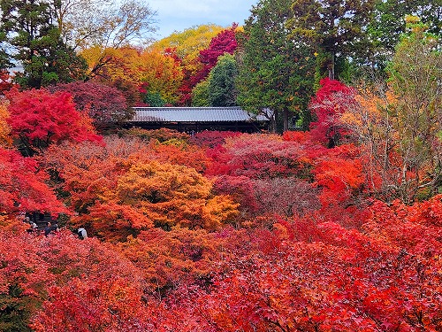 20251126_114745.jpg (145320 �o�C�g)