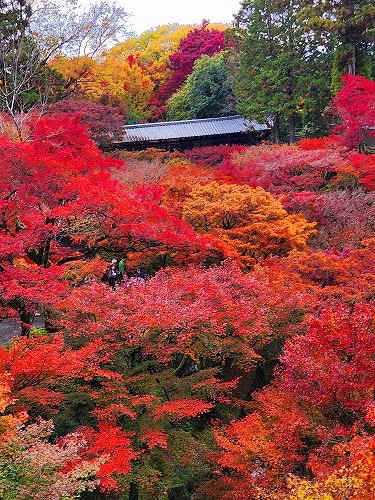 20251126_114904.jpg (134160 バイト)