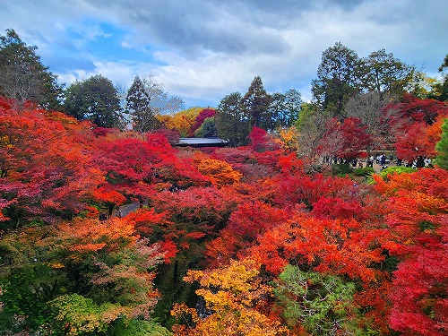 20251126_114918.jpg (115195 �o�C�g)