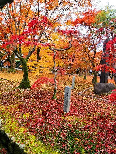 20251126_115106.jpg (153375 �o�C�g)