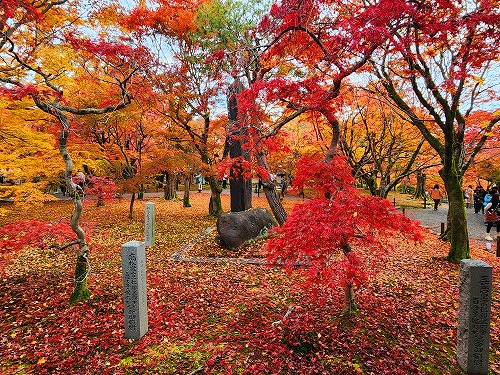 20251126_115110.jpg (162424 �o�C�g)