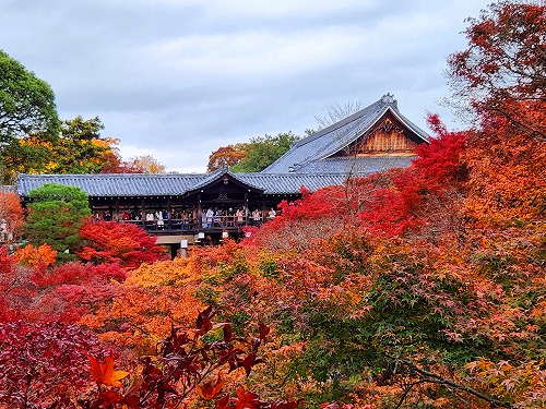 20251126_115753.jpg (119544 �o�C�g)