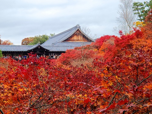 20251126_115812_001.jpg (115858 バイト)