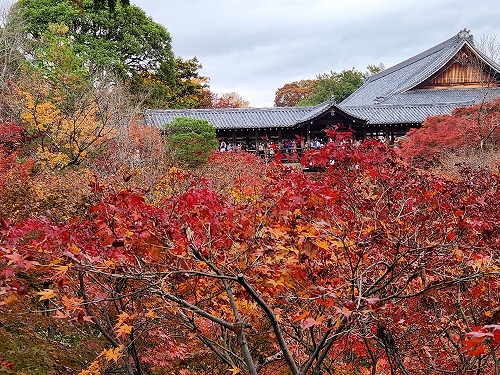 20251126_115816.jpg (138397 バイト)