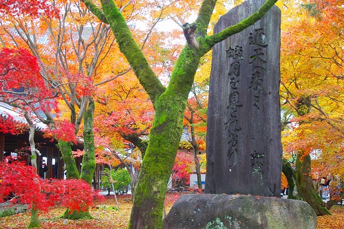 IMGP6065.jpg (115062 バイト)