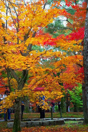 IMGP6086.jpg (119833 バイト)