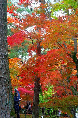 IMGP6087.jpg (114418 バイト)