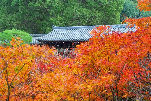 IMGP6090.jpg (123359 バイト)