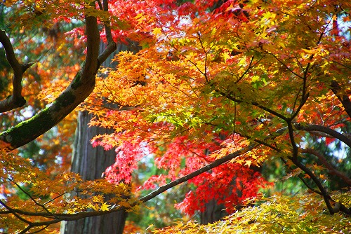 IMGP6130.jpg (123750 バイト)