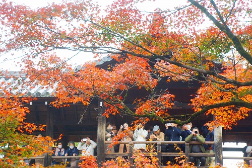 IMGP6136.jpg (123744 �o�C�g)