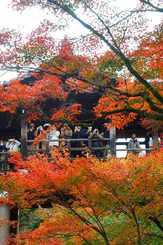 IMGP6137.jpg (117411 �o�C�g)