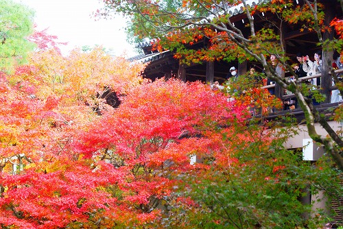 IMGP6145.jpg (116765 �o�C�g)