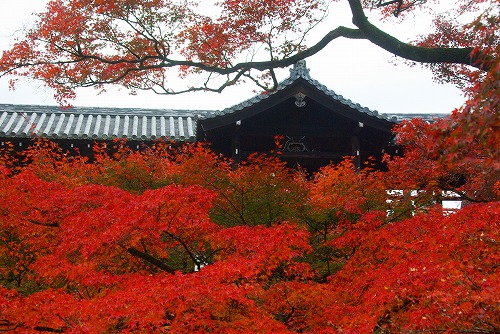 IMGP6157.jpg (107809 �o�C�g)