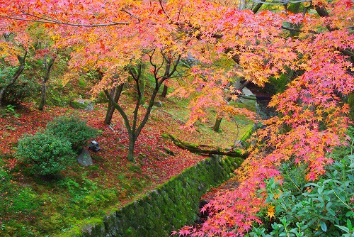 IMGP6160.jpg (129297 バイト)