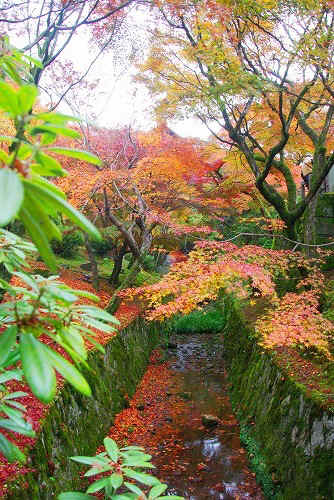 IMGP6168.jpg (113680 バイト)