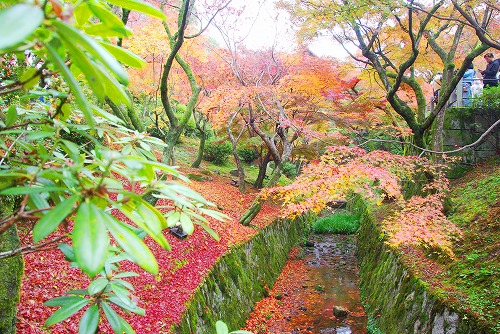 IMGP6170.jpg (124034 バイト)