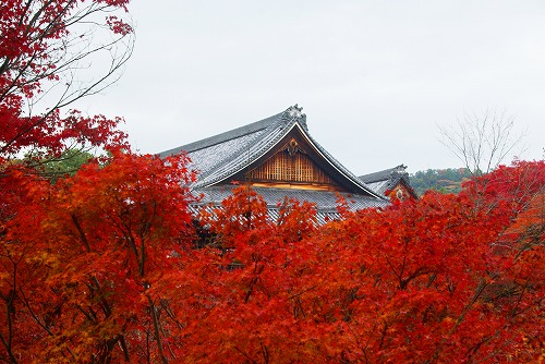 IMGP6187.jpg (80471 �o�C�g)