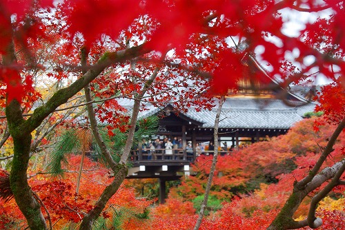 IMGP6189.jpg (105156 �o�C�g)