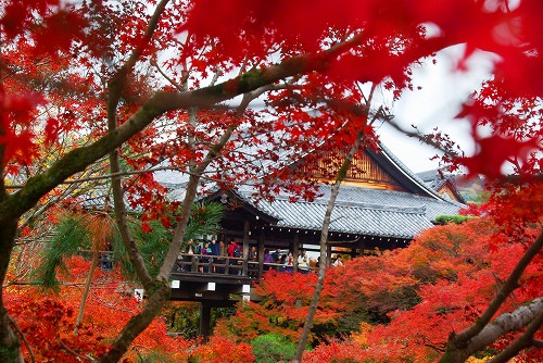 IMGP6191.jpg (110736 バイト)