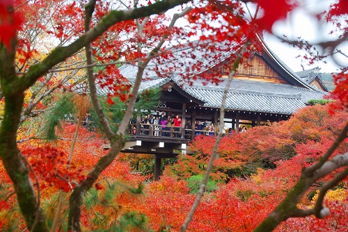 IMGP6192.jpg (107247 バイト)