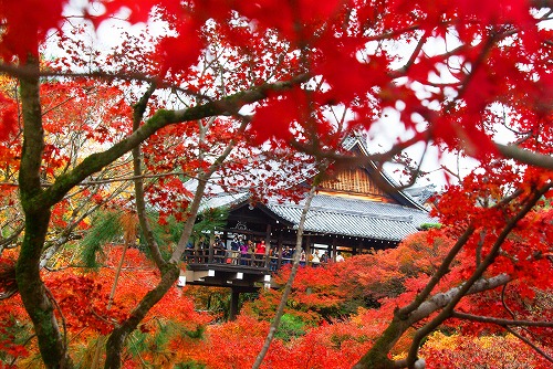 IMGP6194.jpg (121812 �o�C�g)