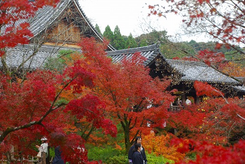 IMGP6201.jpg (101246 バイト)