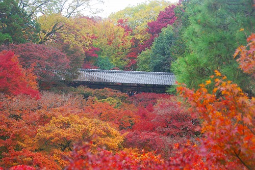 IMGP6221.jpg (95623 バイト)