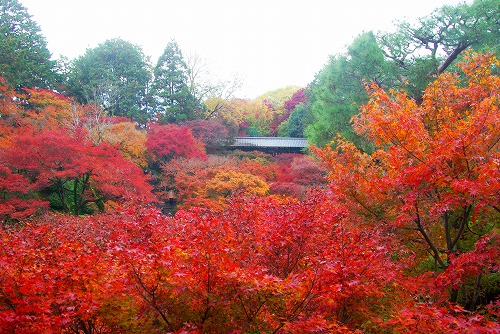 IMGP6223.jpg (102975 �o�C�g)