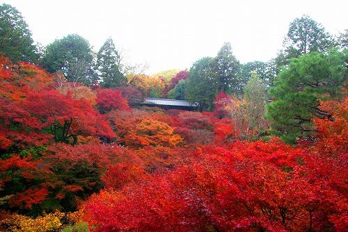 IMGP6230.jpg (92491 �o�C�g)