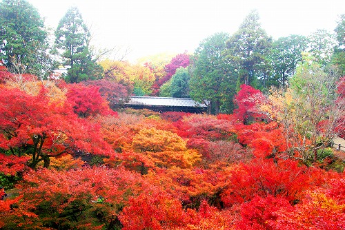 IMGP6233.jpg (105789 �o�C�g)