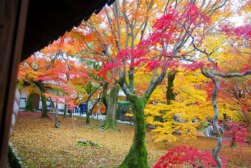 IMGP6246.jpg (120006 バイト)