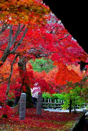 IMGP6249.jpg (99269 バイト)